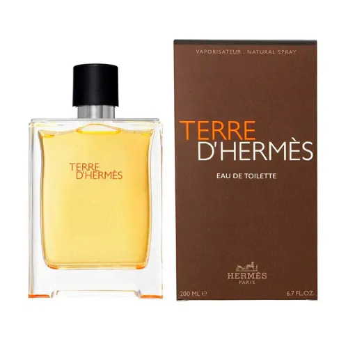 Perfume Terre D Hermes